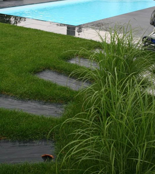 Dalle Schiste noir 80x30cm ép. 3-6cm deux bords sciés, le reste clivé - Zoom2